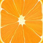 Nutrients - Nutrition Facts